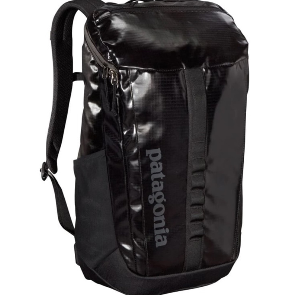 Patagonia bag backpack 25l